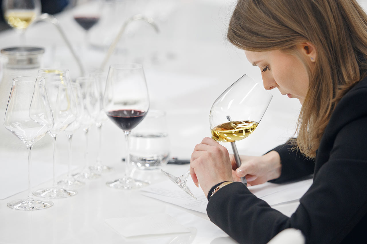 Cata de vinos · Ardoatek