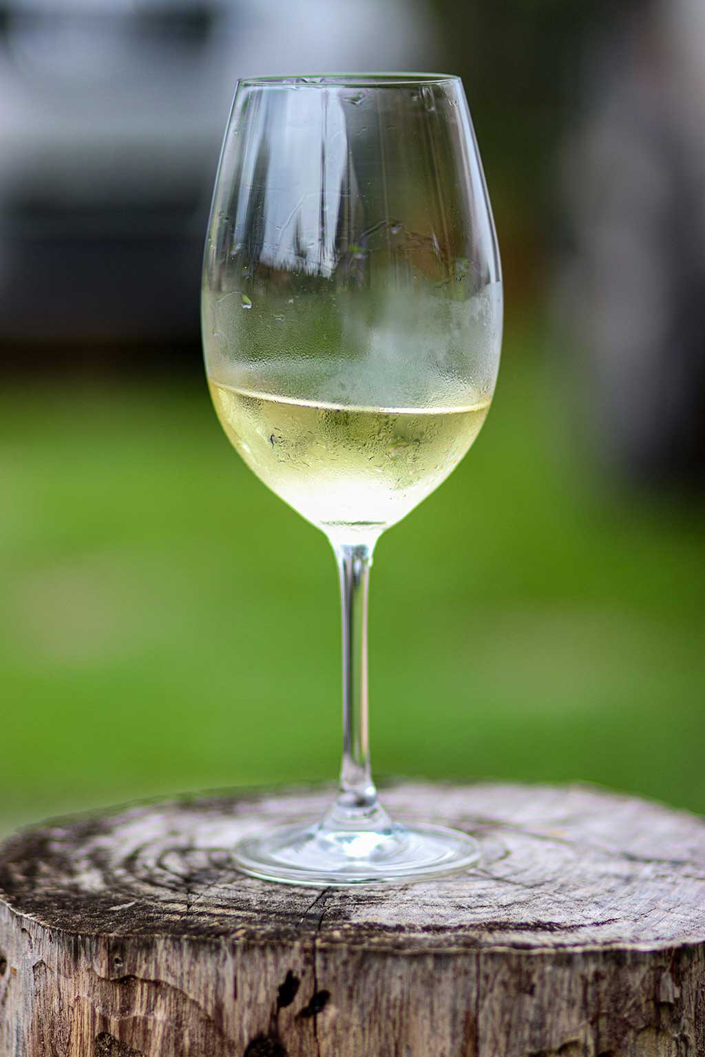Copa de vino blanco en análisis de laboratorio